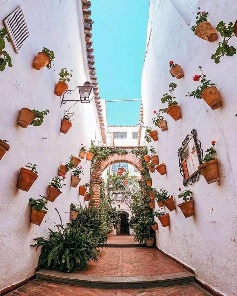 Sweet Home Alegria-Mascotas Cordoba Exterior photo