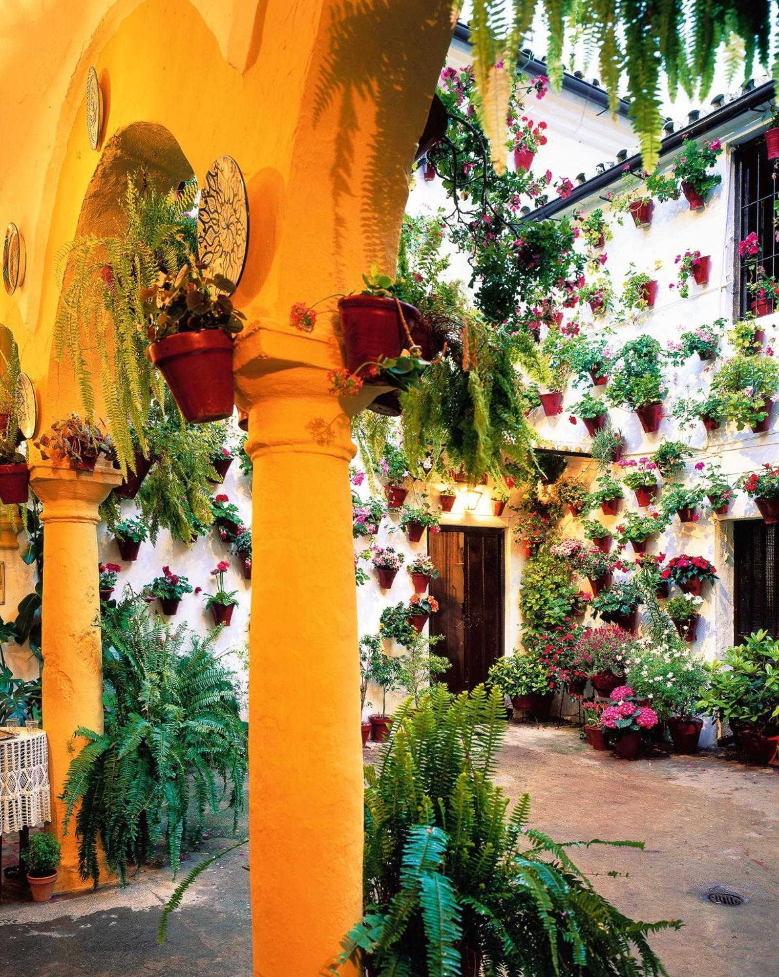 Sweet Home Alegria-Mascotas Cordoba Exterior photo